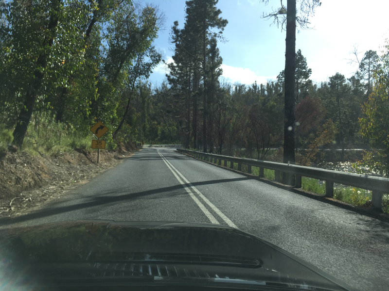 Illustration for article titled BMW 635CSi. Adelaide Hills. Springtime. Goodtime.
